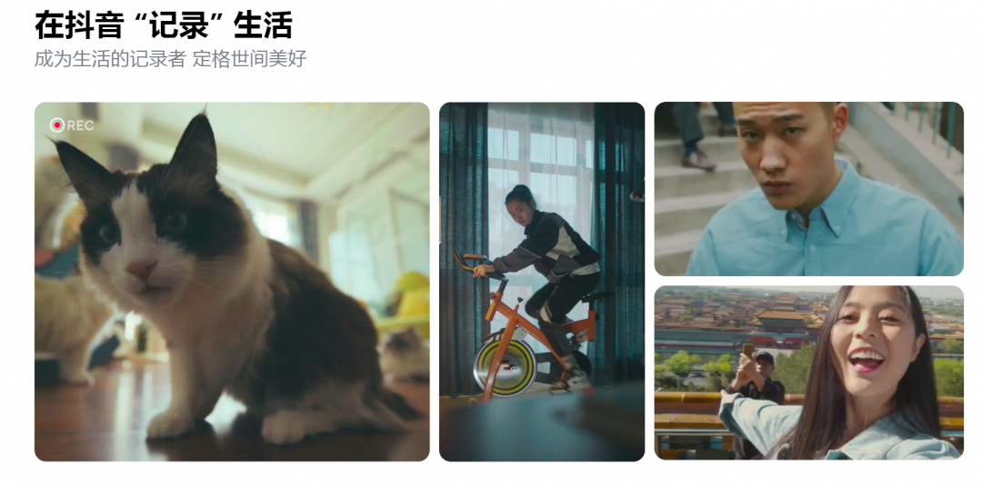 2356619606094ae9992c750.51023833.png 2356619606094ae9992c750.51023833.png